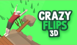 Crazy Flips 3D img