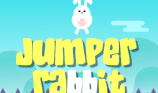 Jumper Rabbit img