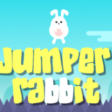 Jumper Rabbit Jumper Rabbit