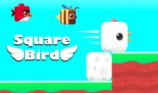 Square Bird img