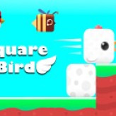 Square Bird