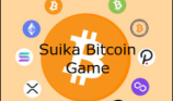 Suika Bitcoin Game img