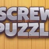 Screw Puzzle