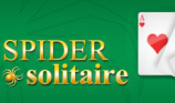 Spider Solitaire Classic img